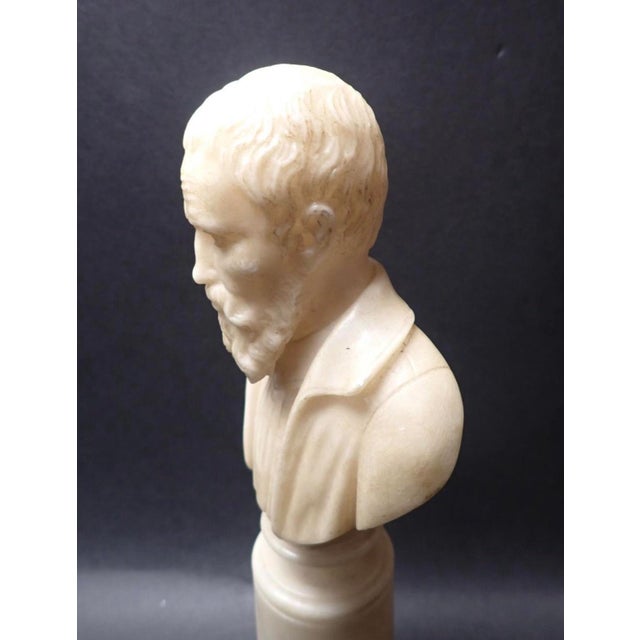 19th Century Italian Antique Carved Alabaster Grand Tour Portrait Bust of Michelangelo Buonarroti For Sale - Image 4 of 9
