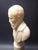 19th Century Italian Antique Carved Alabaster Grand Tour Portrait Bust of Michelangelo Buonarroti For Sale - Image 4 of 9