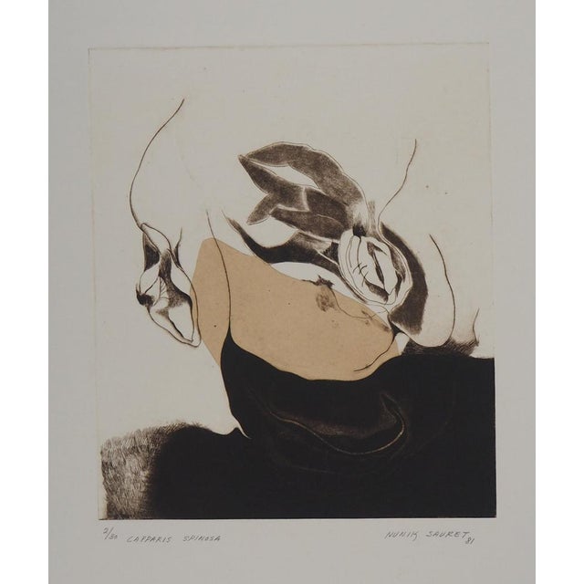 Nunik Sauret, Capparis Spinosa, 1981, Engraving For Sale - Image 6 of 7