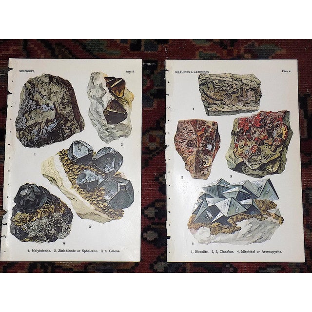 Authentic Antique 1916 Mineral Lithographs - Set of 12 For Sale - Image 4 of 8