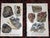 Authentic Antique 1916 Mineral Lithographs - Set of 12 For Sale - Image 4 of 8