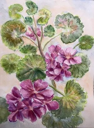 Contemporary Geranium Still Life Watercolor Painting by Elena Shapiro