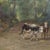 Brown 19th Century French Painting of Cows on a Forest Path by Emile Godchaux, Signed For Sale - Image 8 of 12