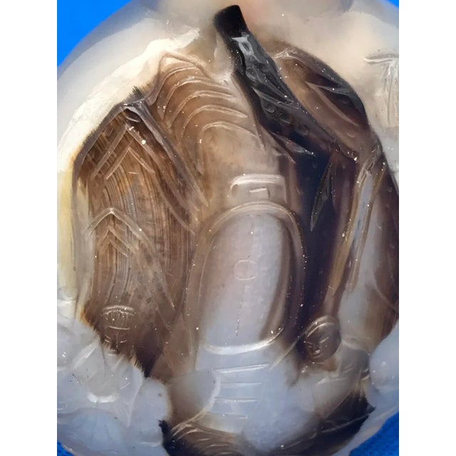 Beige Antique Montana Moss Agate Floater Snuff Bottle With Carving For Sale - Image 8 of 13