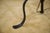 Wrought Iron Floor Lamp in the style of the Marolles Workshops, 1950s For Sale - Image 9 of 10