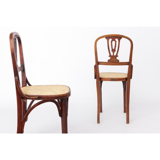 Vintage Bentwood and Cane Dining Chairs, Austria, 1940s, Set of 2 For Sale - Image 6 of 10