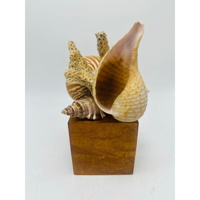 Vintage Handmade Shell Sculpture For Sale In Charleston - Image 6 of 6