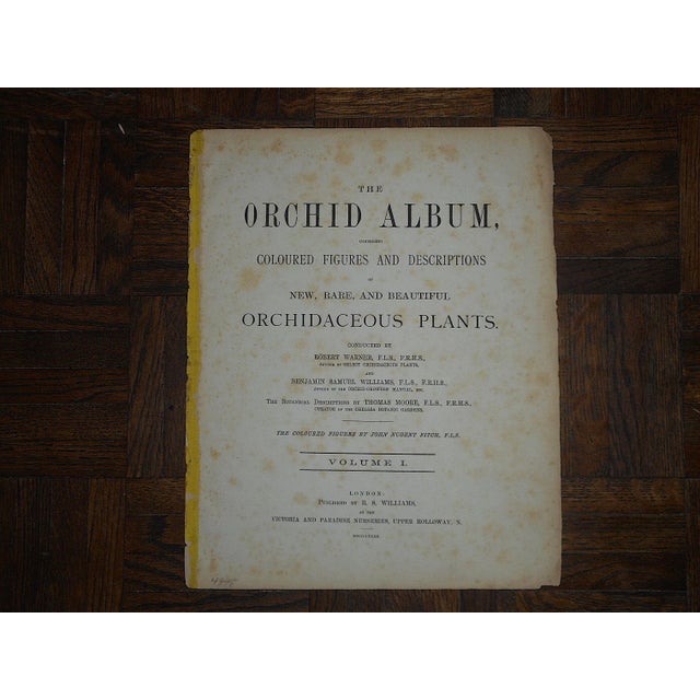 Late 19th Century Antique 19th Century Orchid Lithographs-Set of 3 For Sale - Image 5 of 7