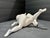 1960s 1960s Larry Mohr Plaster Erotic Couple Sculpture Signed From Artist Estate For Sale - Image 5 of 8