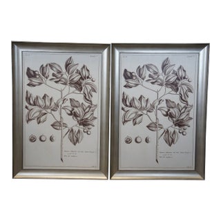 2 Neiman Marcus Horchow Botanical Wild Apple Tropical Leaf Study II Prints 41" For Sale