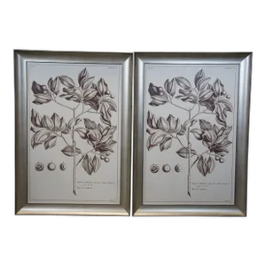 2 Neiman Marcus Horchow Botanical Wild Apple Tropical Leaf Study II Prints 41"