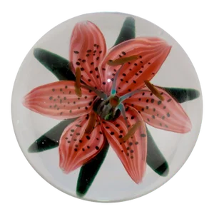 Steven Lundberg Studios Glass Tiger Lily Pedestal Paperweight