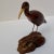 Brown Artist Signed Bruce Stamp Hand Carved Hardwood Shorebird Sculpture on Burl Base For Sale - Image 8 of 9