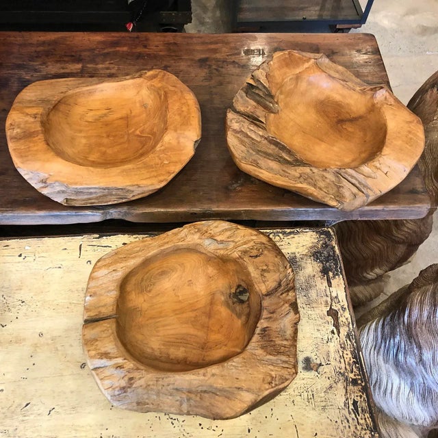 Teak Root Bowl 12" Chairish