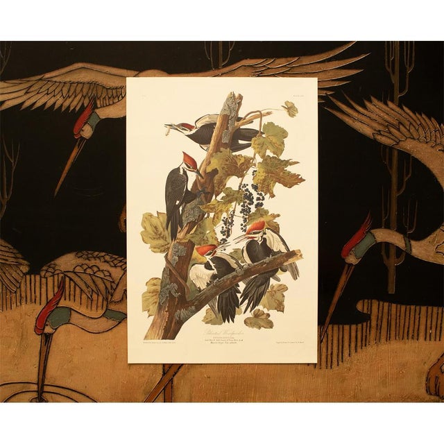 1990s Pileated Woodpecker After Audubon, Large Cottage Print For Sale - Image 9 of 10