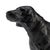 Matte black dog for the dog lovers and hunting outdoor enthusiast. 9.3h x 11.5w x 2.5d