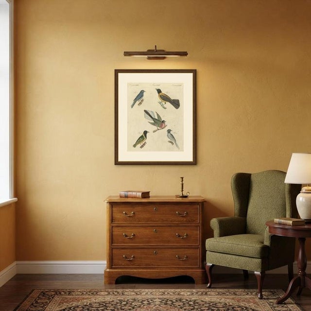 Bertuch, Five Exotic Birds, 1805, Print For Sale - Image 11 of 12