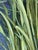 Vintage Palecek Faux Rattan Wall Planters With Faux Grasses - A Pair For Sale - Image 11 of 11