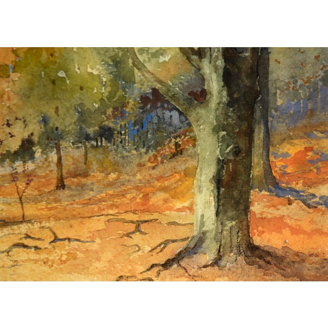 1980s Queensdown Warren, Kent - Autumn Forest Interior Landscape in Watercolor by L B H Cremer For Sale - Image 5 of 10
