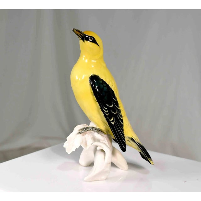 Early 20th Century Porcelain Indian Golden Oriole by Karl Ens Volkstedt Germany For Sale - Image 4 of 12