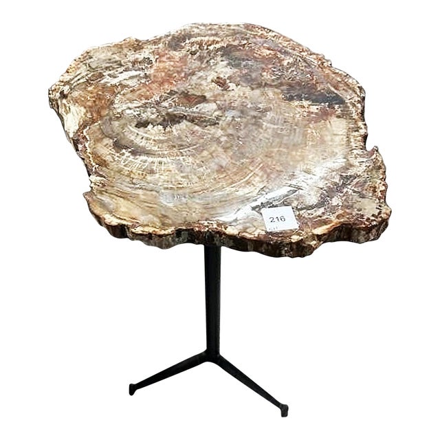 Petrified Wood Side Table For Sale