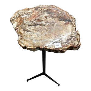 Petrified Wood Side Table