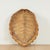 Antique Organic Turtle Shell For Sale - Image 10 of 10
