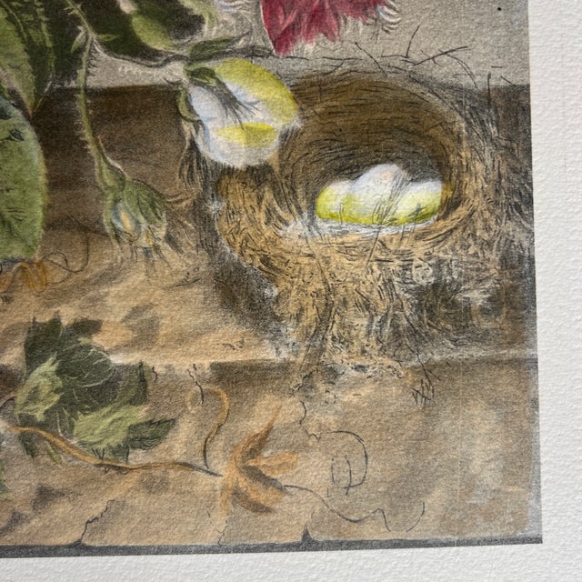 Traditional Unframed Chromolithograph Print of a Bouquet of Flowers by Joseph Nigg For Sale - Image 3 of 9