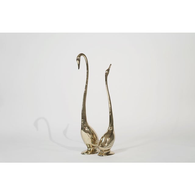 Set of Large-Scale Vintage Brass Swan Sculptures, C. 1950s For Sale - Image 4 of 10