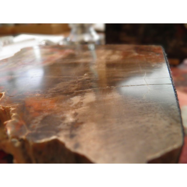 Chocolate 1970s Amazing Polished Arizona Rainbow Petrified Wood Bookends For Sale - Image 8 of 9