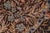 Brown Shabby Chic Botanical 1990's Pak-Persian Brown/Gray Wool Round Rug - 6'2'' X 6'3'' For Sale - Image 8 of 9