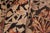 Textile 1990's Honey Suckle Pak-Persian Black/Tan Wool Rug - 6'2'' X 9'1'' For Sale - Image 7 of 9