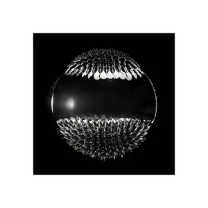 Seb Janiak "Magnetic Radiation 14 (Medium)", Photograph