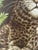 1970 Leopard Cub Wesco Reltex Framed Fabric on Board For Sale - Image 9 of 12
