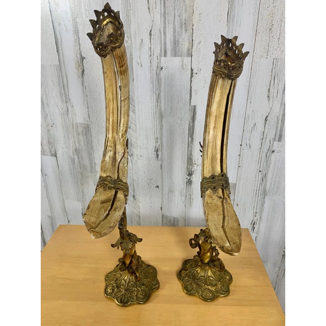 Gold Antique Wild Boar Trophies For Sale - Image 8 of 12