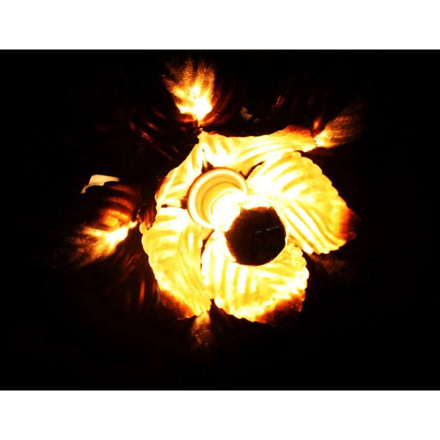 Masca Floral Wall Light, 1970s For Sale - Image 6 of 11