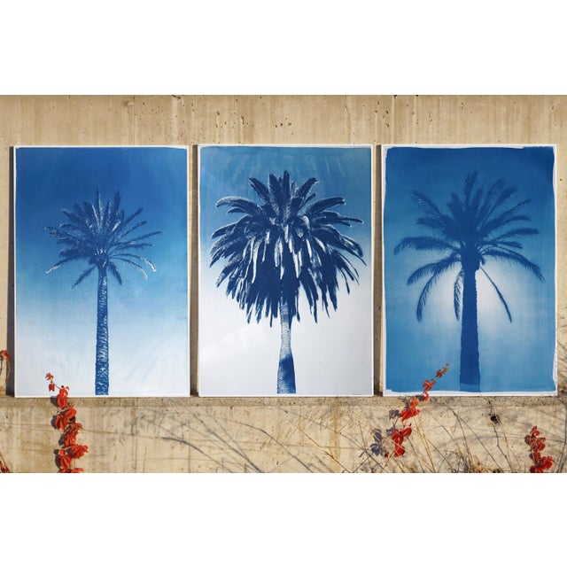 "Desert Palm Trio" Hand Painted Cyanotype Triptych on Watercolor Paper - Set of 3 For Sale In Miami - Image 6 of 8