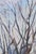 FREE SHIPPING worldwide. The painting will be rolled up and packed securely in a special protective tube. Note: The...