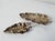 Leaf Bronze Trays, Italy, Set of 2 For Sale - Image 6 of 13