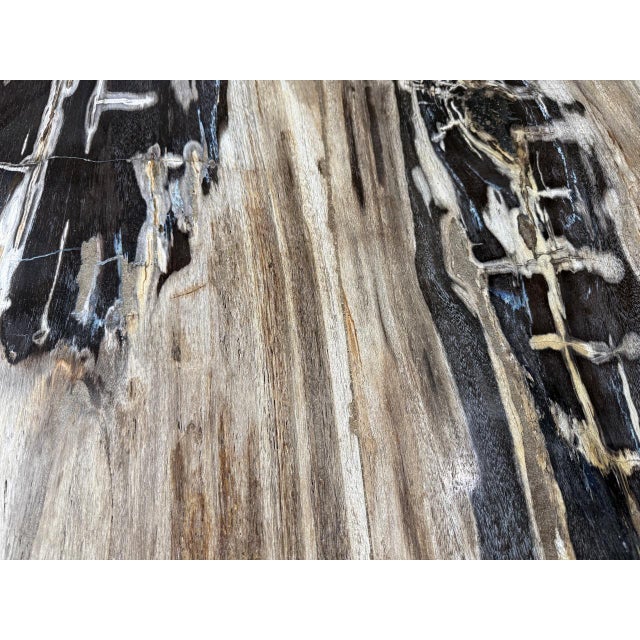 Andrianna Shamaris Live Edge Petrified Wood Dining Table For Sale - Image 13 of 18