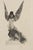 Hollywood Regency Félicien Rops, The Sphinx, 1880s, Etching For Sale - Image 3 of 3