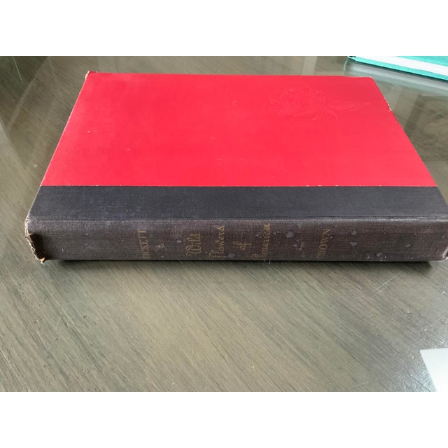 1980s Coffee Table Garden and Flower Books -Set of 4 For Sale - Image 12 of 12