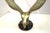 Vintage Cast Brass Eagle With Spanned Wings in Flight – Round Marble Base For Sale - Image 10 of 16