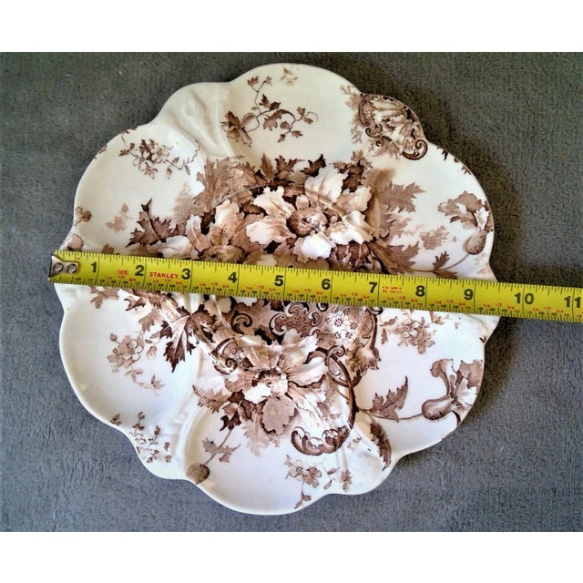 Brown Antique Marguerite Royal Staffordshire Pottery Brown Transferware Oyster Plate For Sale - Image 8 of 12