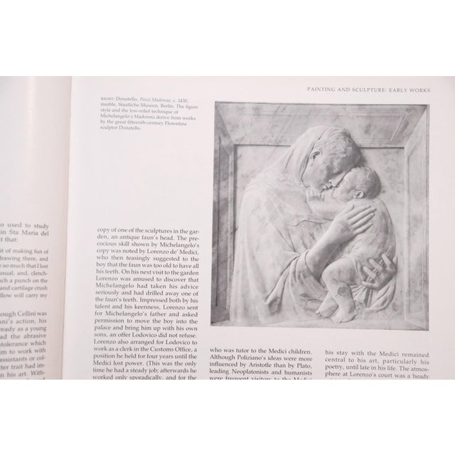 Michelangelo by Lucinda Hawkins & Annabel Ricketts For Sale - Image 4 of 7