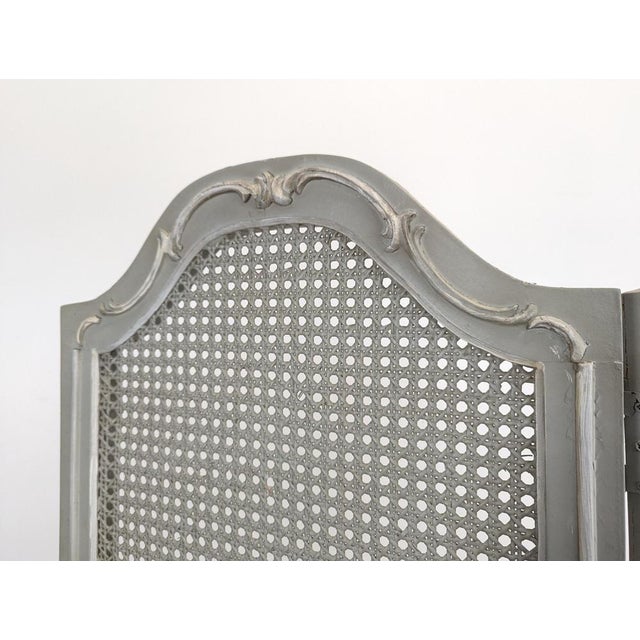 Louis XVI Style Cane-Backed Screen For Sale - Image 3 of 7