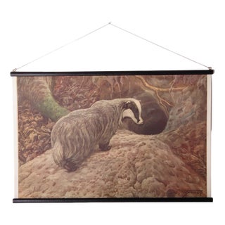 Badger School Poster, 1920s For Sale