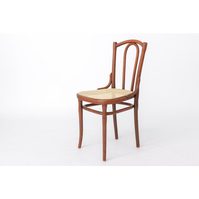 Antique Austrian Bentwood Rattan Bistro Chair in the Style of Thonet No. 56, 1930s For Sale - Image 4 of 12