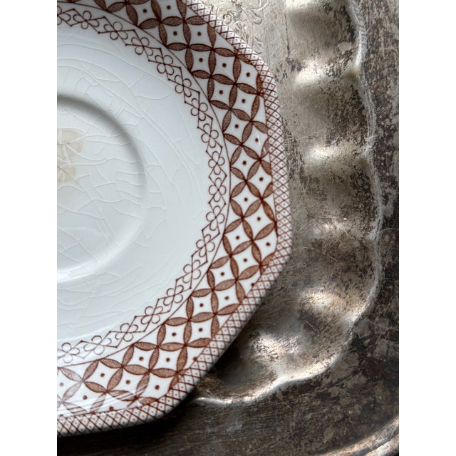 English Vintage English, Royal Staffordshire, Brown and White Teacup and Saucers - Set of 4 For Sale - Image 3 of 12