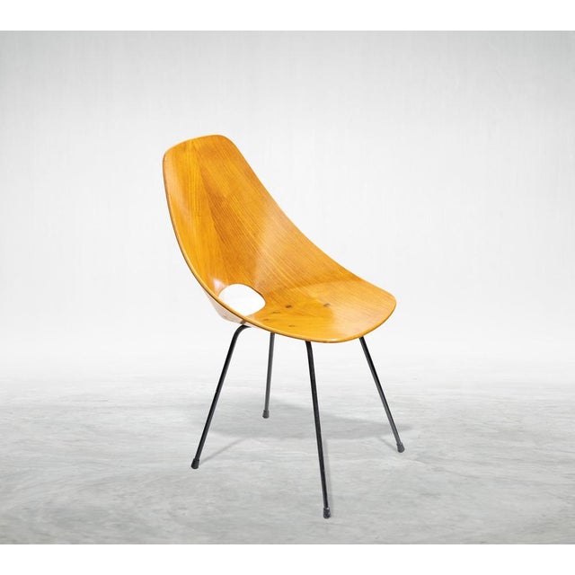 1950s Medea Chairs by Vittorio Nobili, Italy, 1955, Set of 4 For Sale - Image 5 of 6